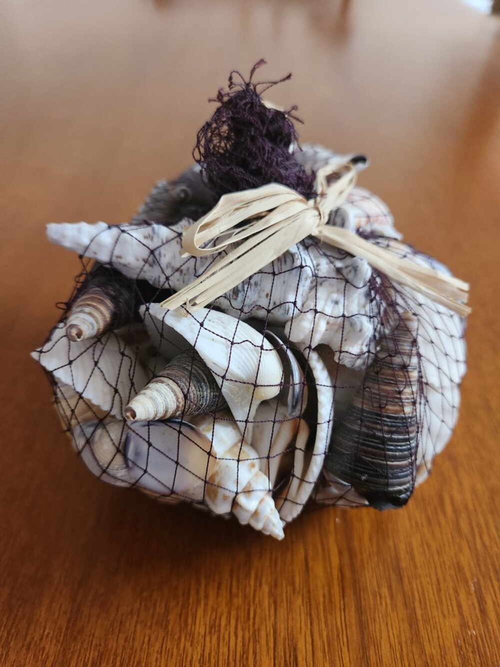 Pottery Barn Shells - Picture 4 of 5